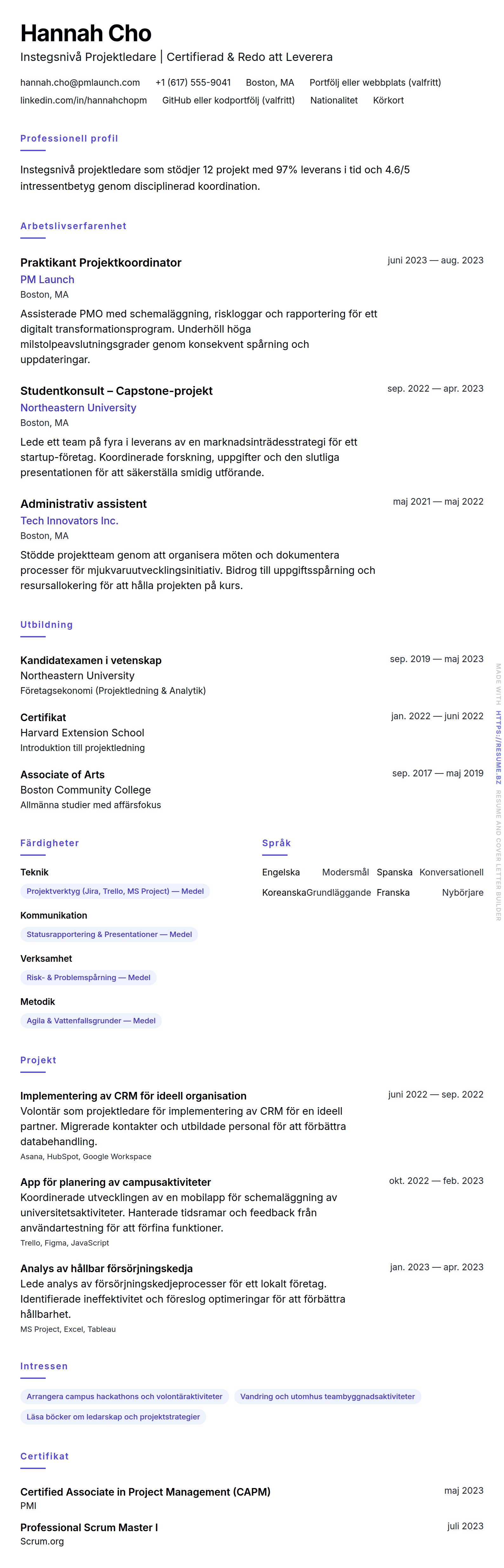 CV-förhandsgranskning för Exempel på CV för Instegsnivå Projektledare