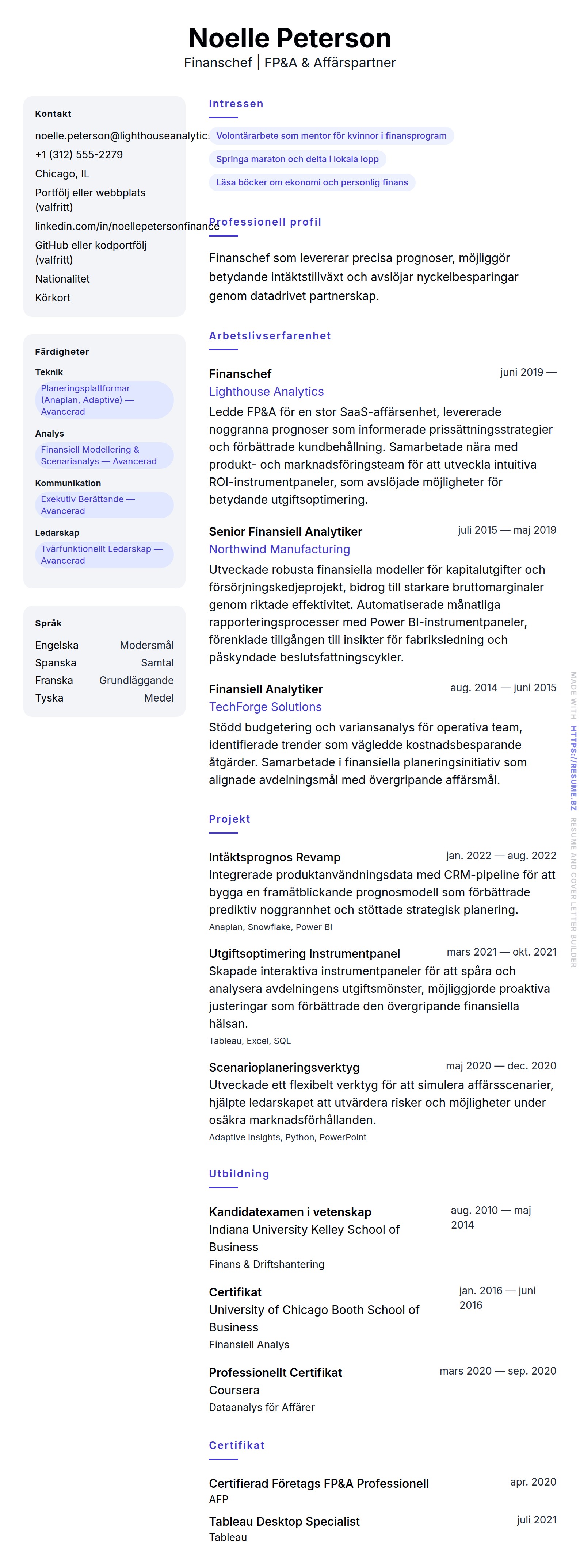 CV-förhandsgranskning för Finanschef CV-exempel