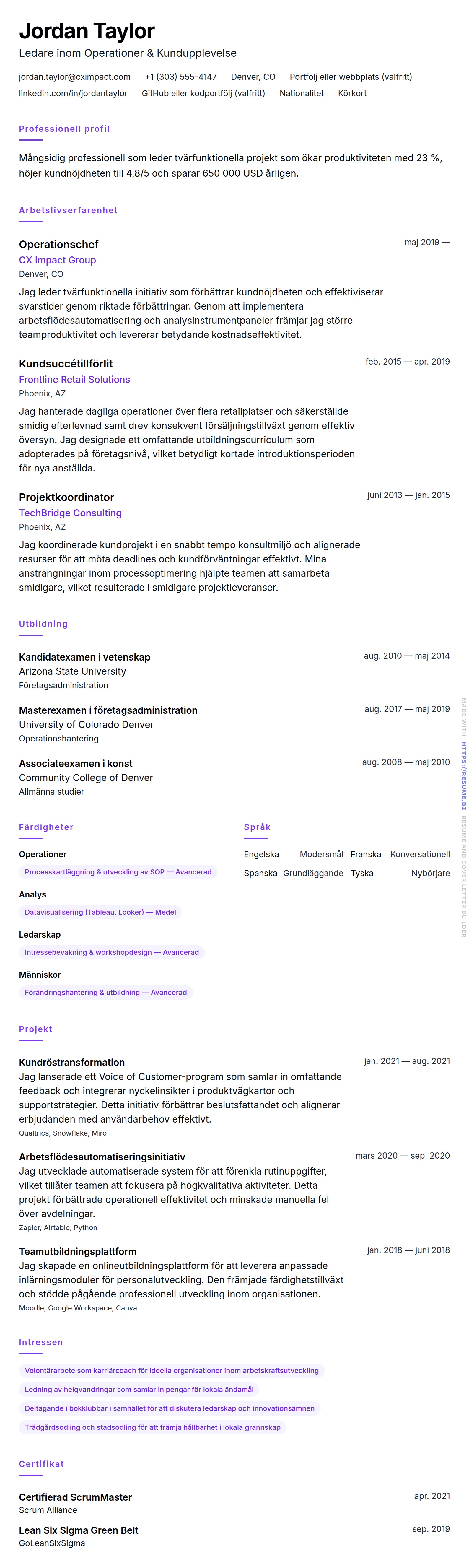 CV-förhandsgranskning för Allmän CV Exempel