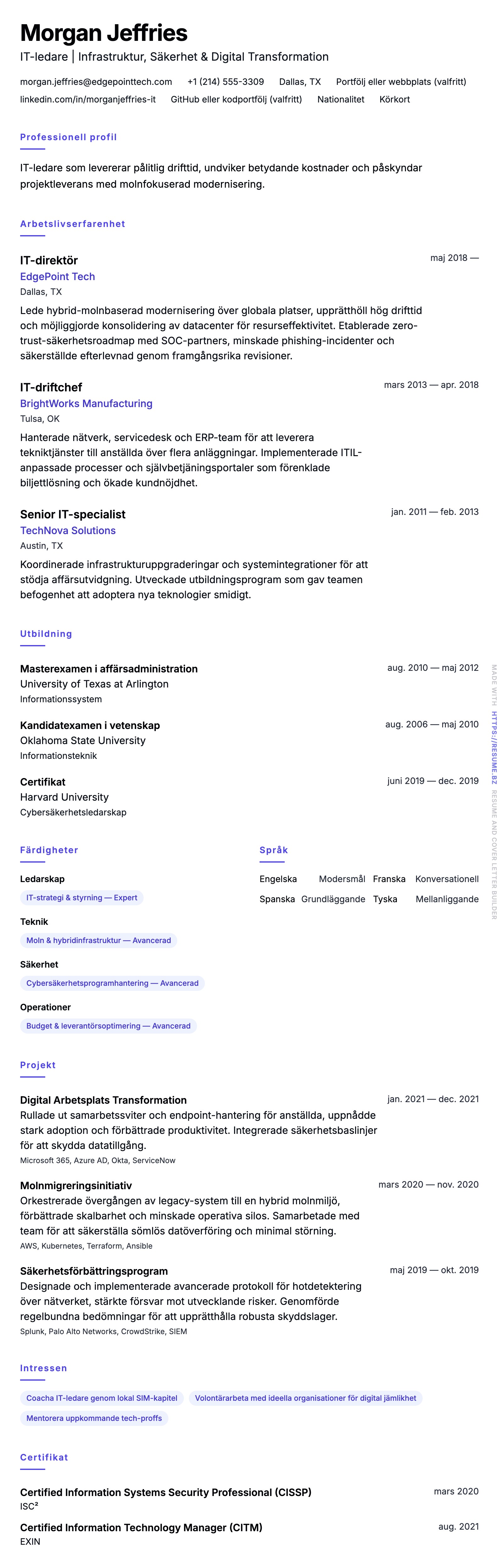 CV-förhandsgranskning för Exempel på CV för IT-proffs