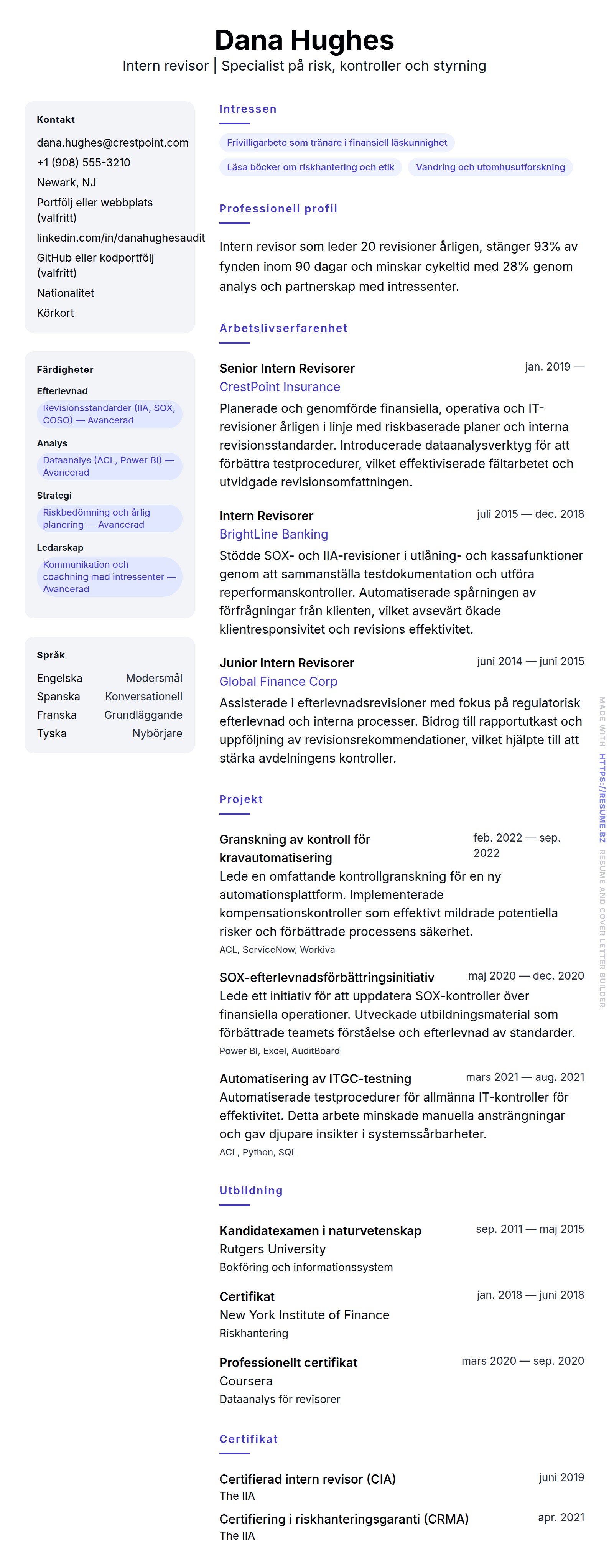 CV-förhandsgranskning för Intern revisor CV-exempel