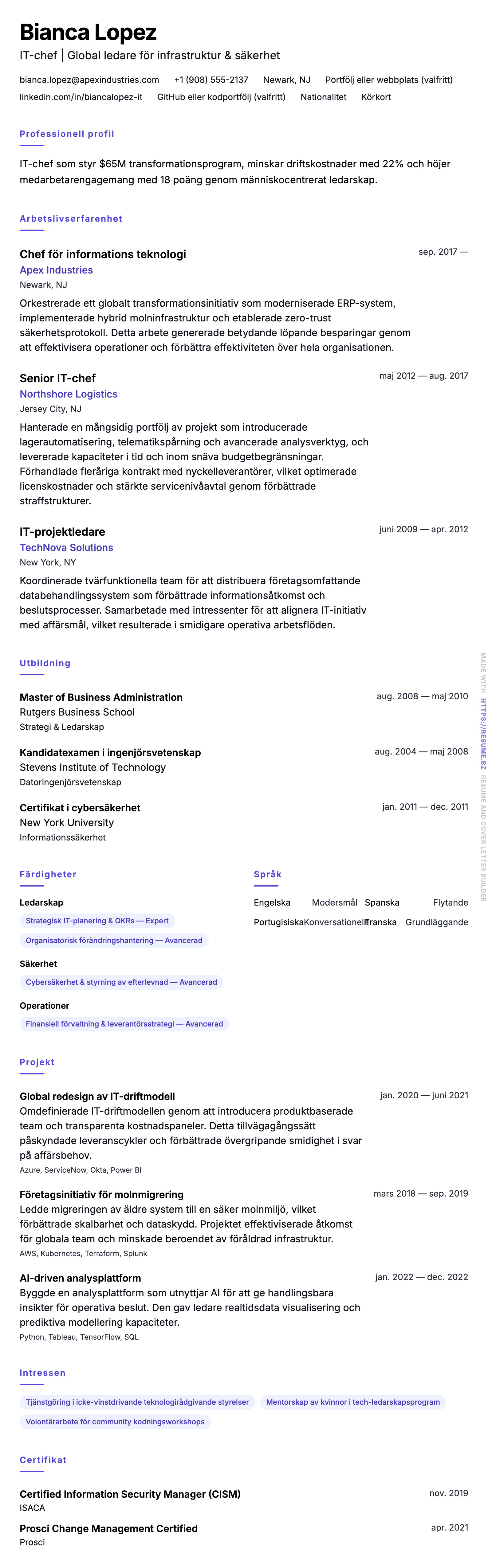 CV-förhandsgranskning för Exempel på CV för IT-chef