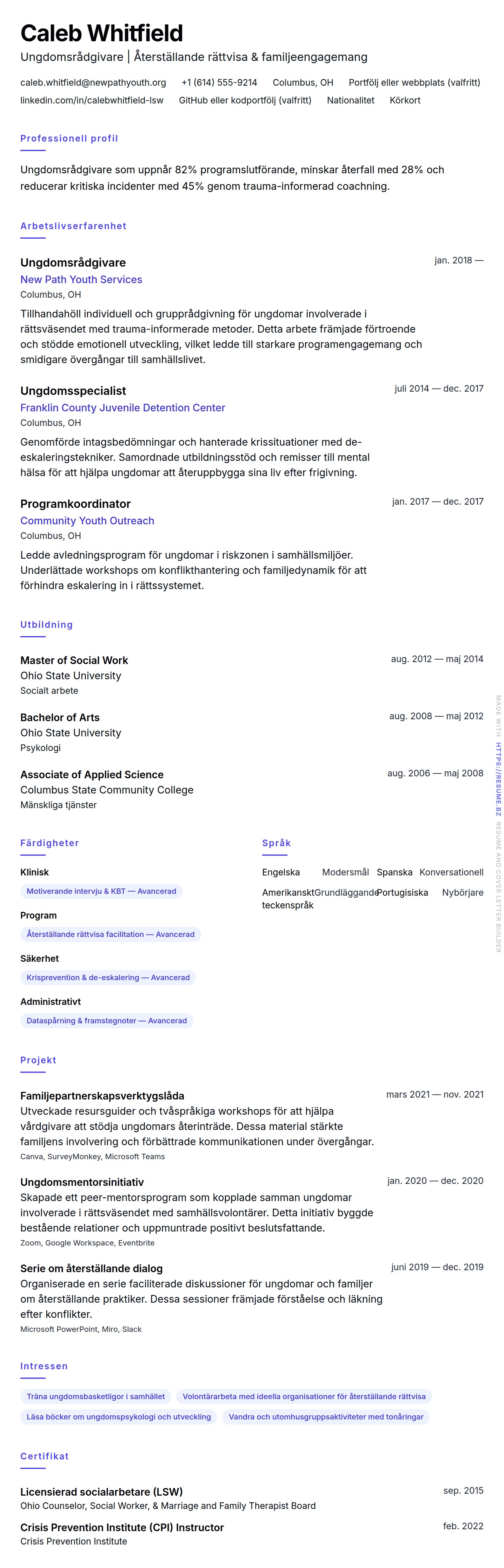 CV-förhandsgranskning för Ungdomsrådgivare CV-exempel