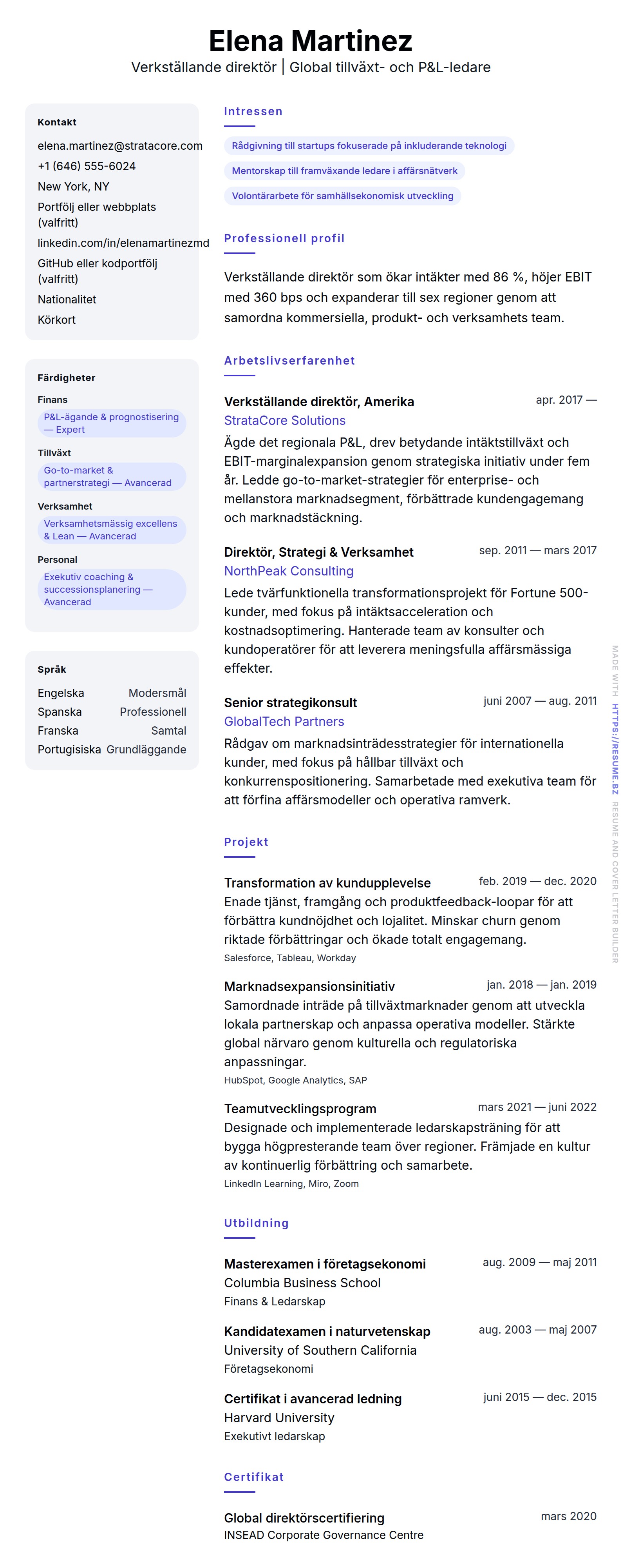 Exempel på CV för verkställande direktör