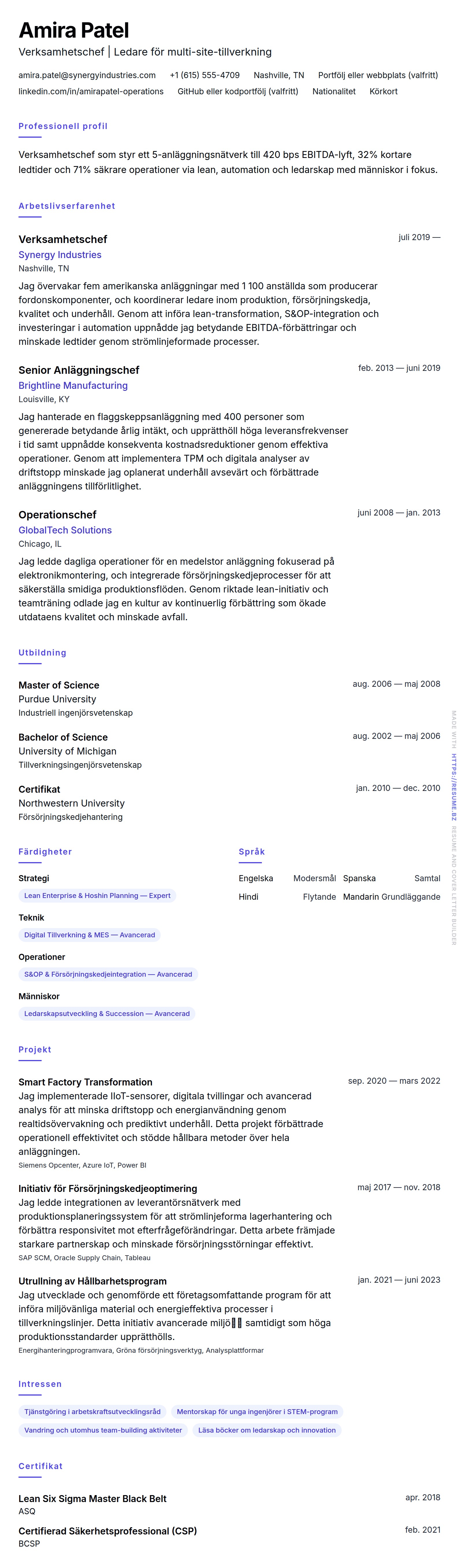 CV-förhandsgranskning för Verksamhetschef CV-exempel