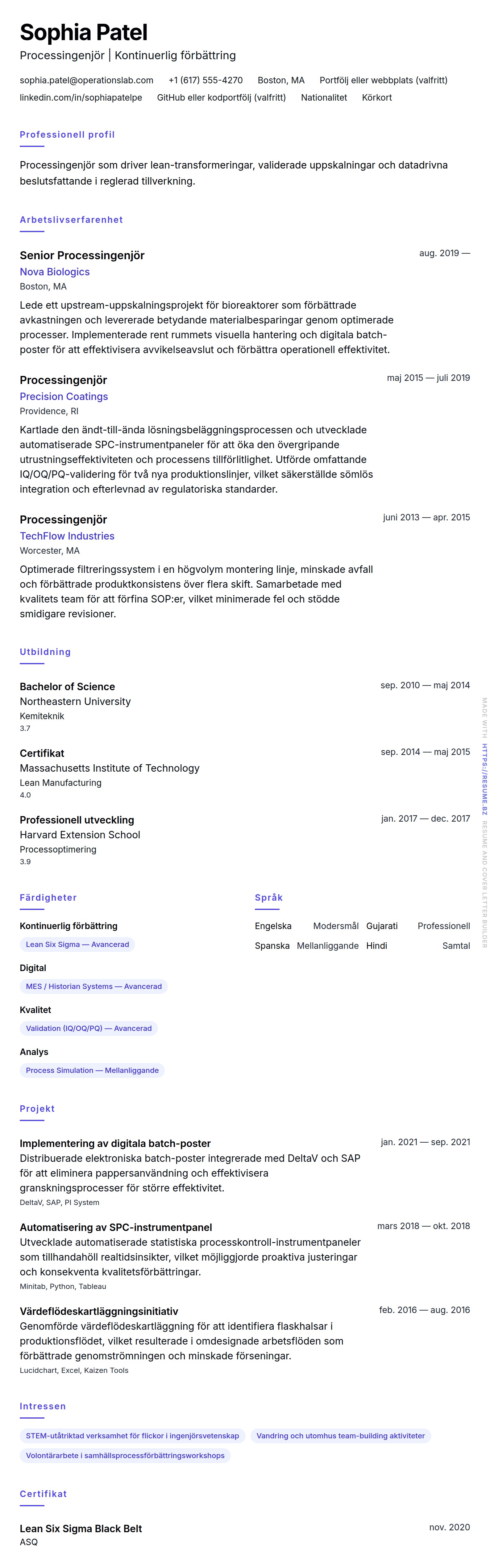 Processingenjör CV-exempel