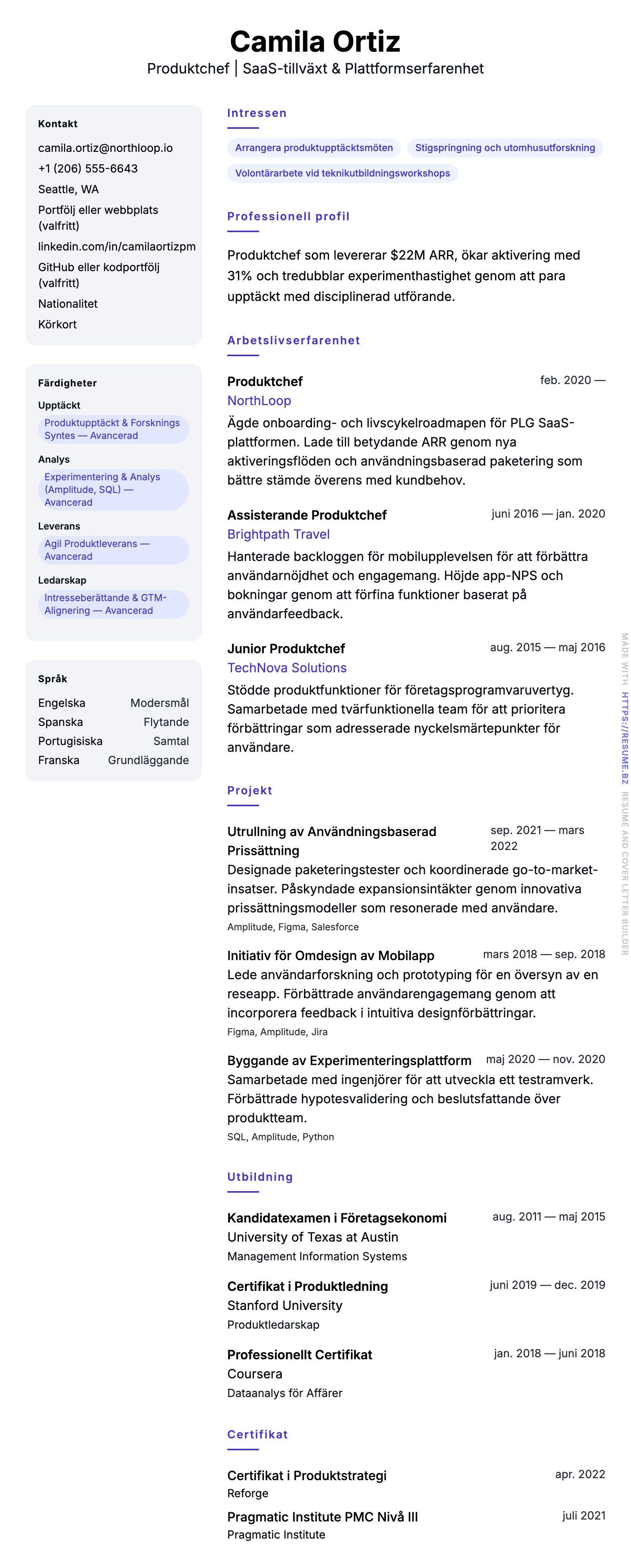 CV-förhandsgranskning för Exempel på CV för Produktchef