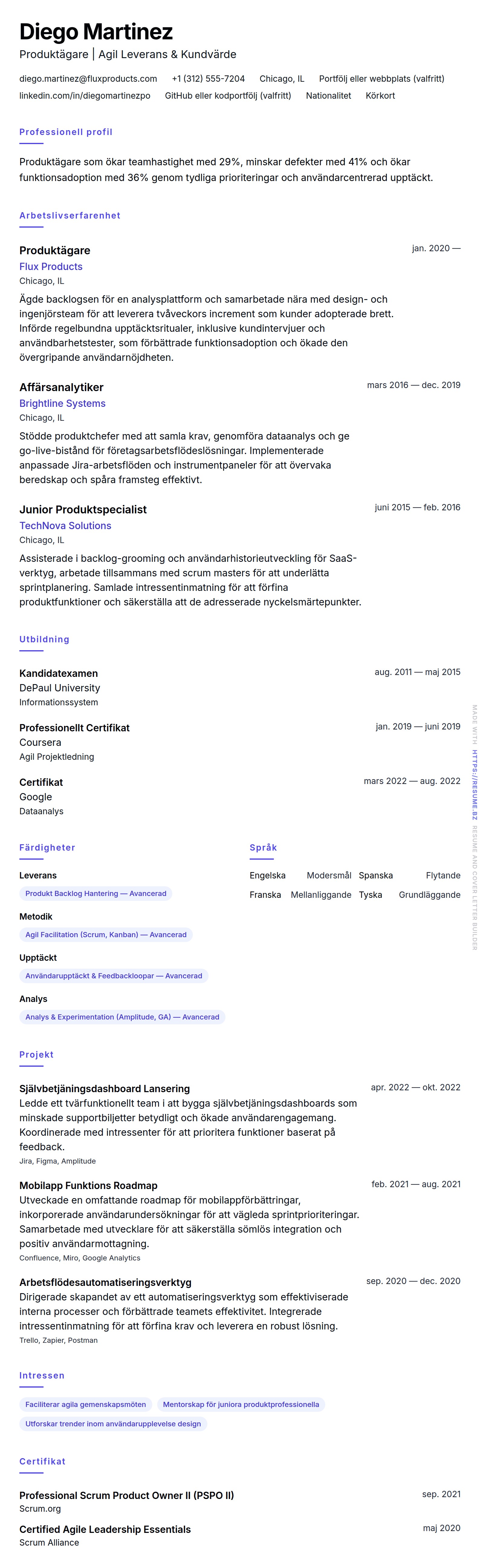 CV-förhandsgranskning för Produktägare CV-exempel