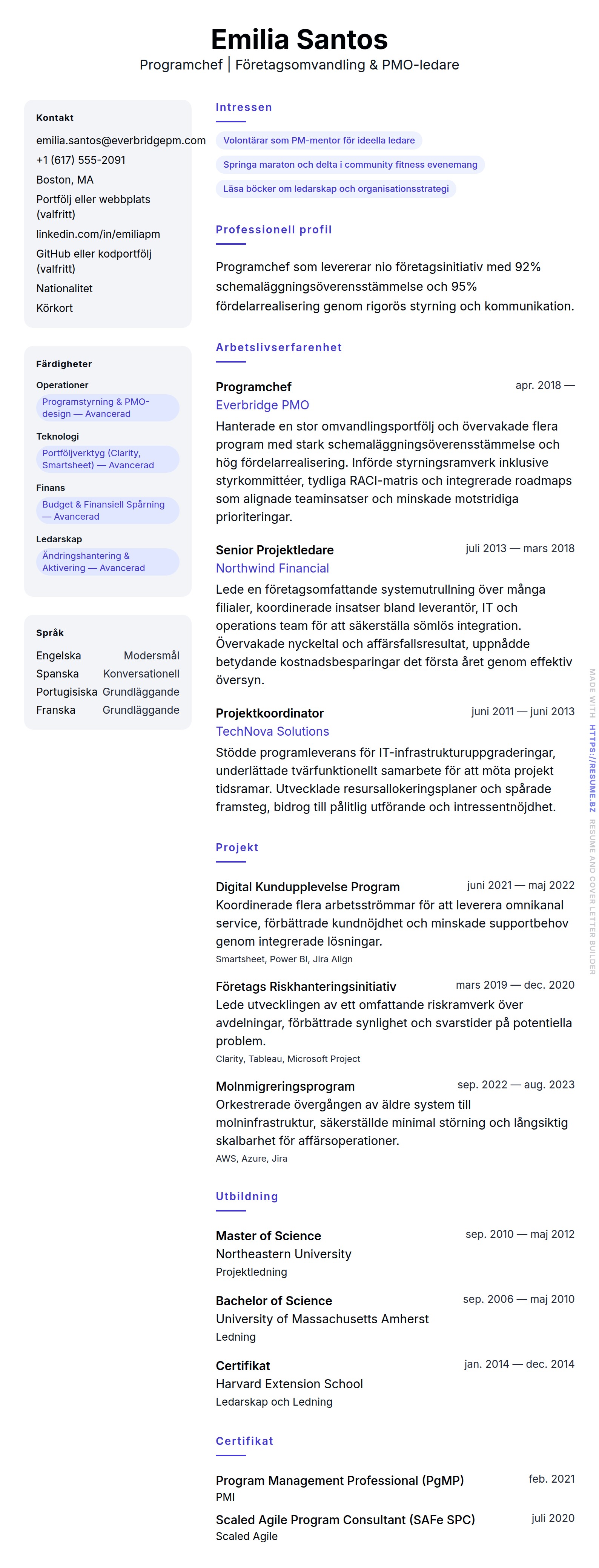 CV-förhandsgranskning för Programchef CV-exempel