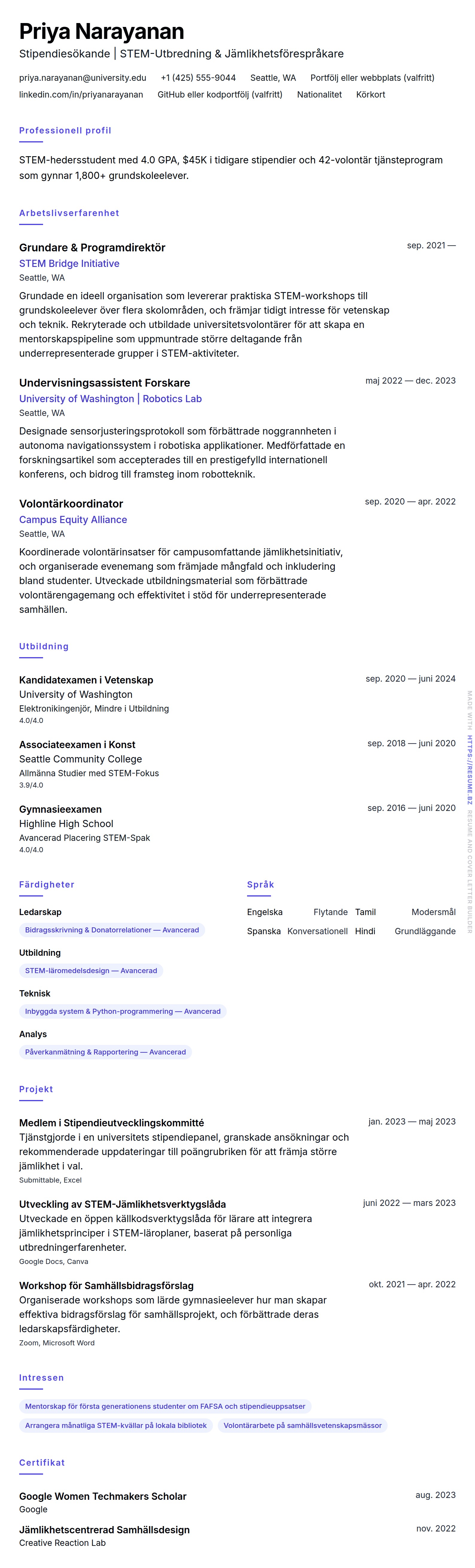 CV-förhandsgranskning för Stipendieresumé Exempel