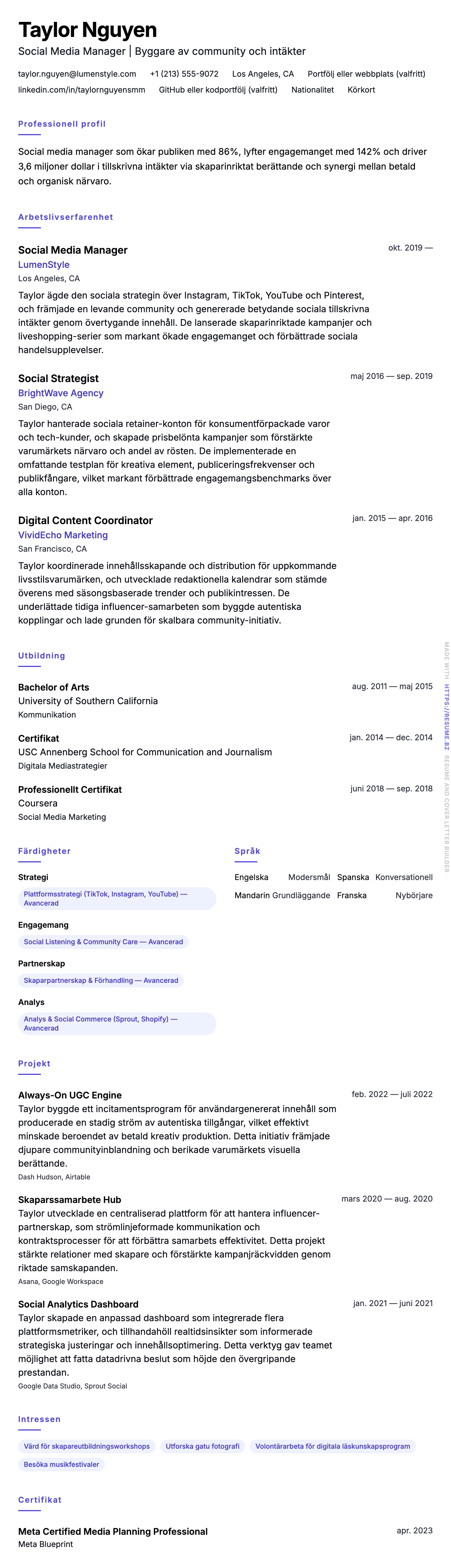 CV-förhandsgranskning för Exempel på CV för Social Media Manager
