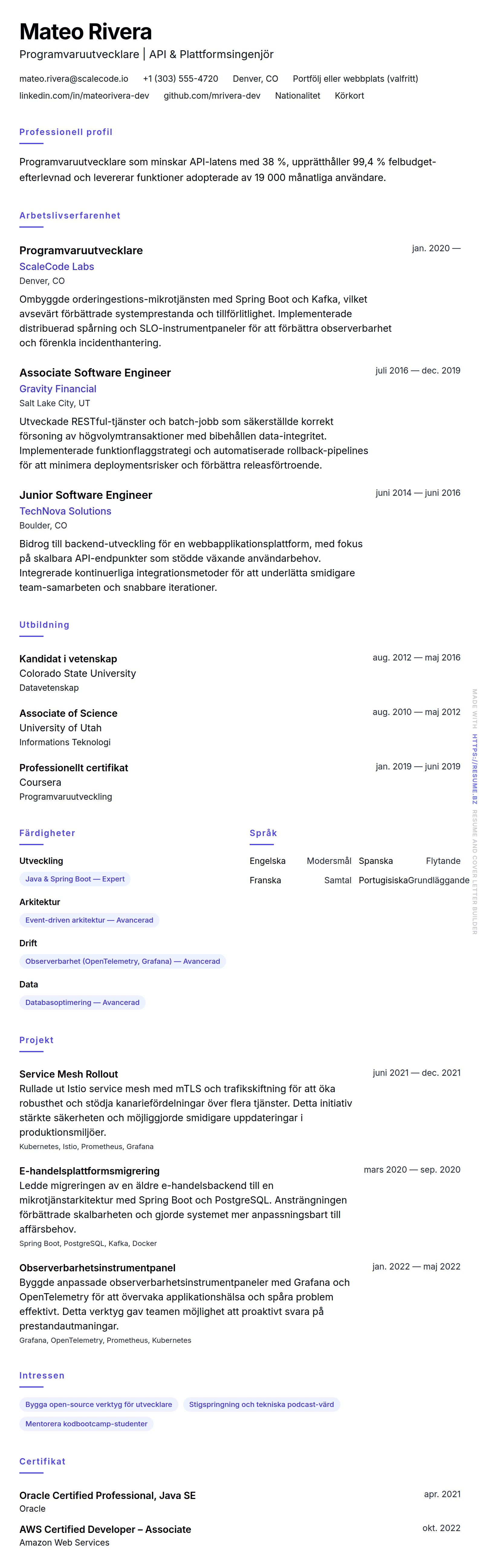CV-förhandsgranskning för Programvaruutvecklare CV-exempel
