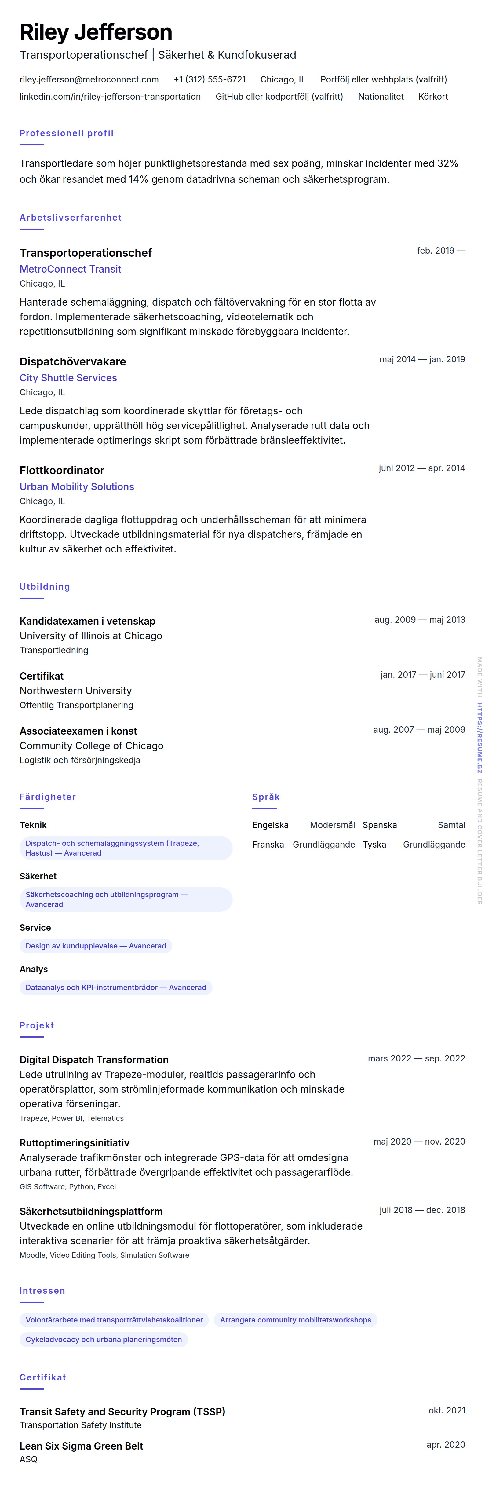 CV-förhandsgranskning för Exempel på CV för Transportprofessionell