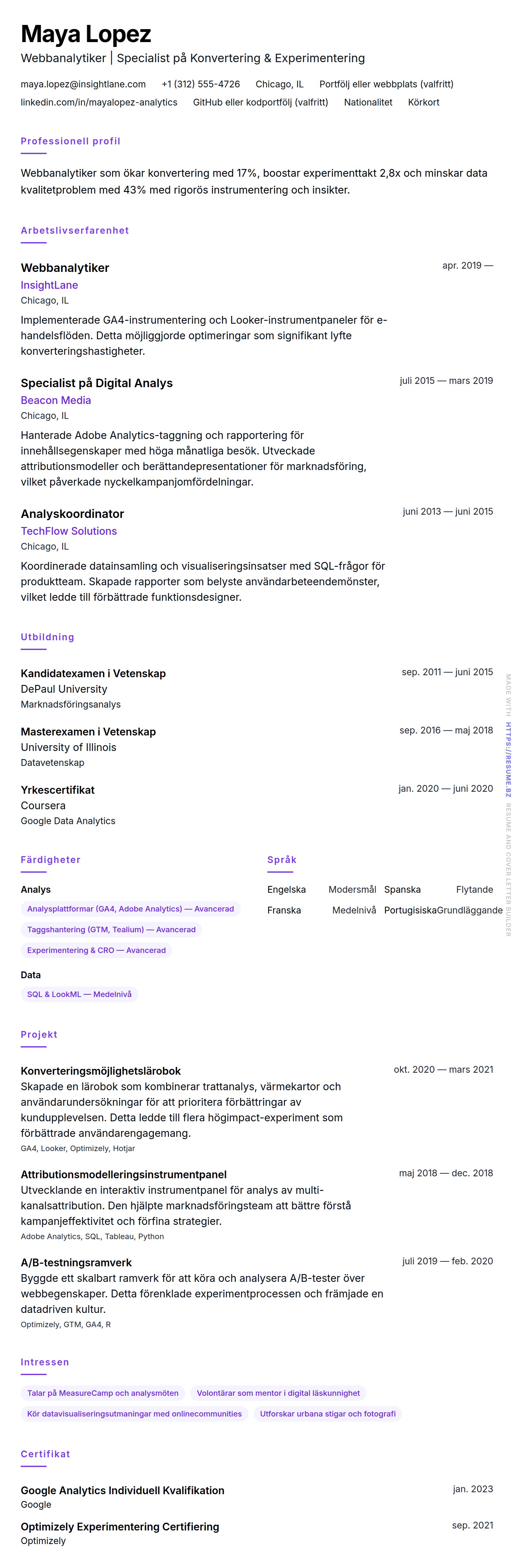 CV-förhandsgranskning för Exempel på CV för Webbanalytiker