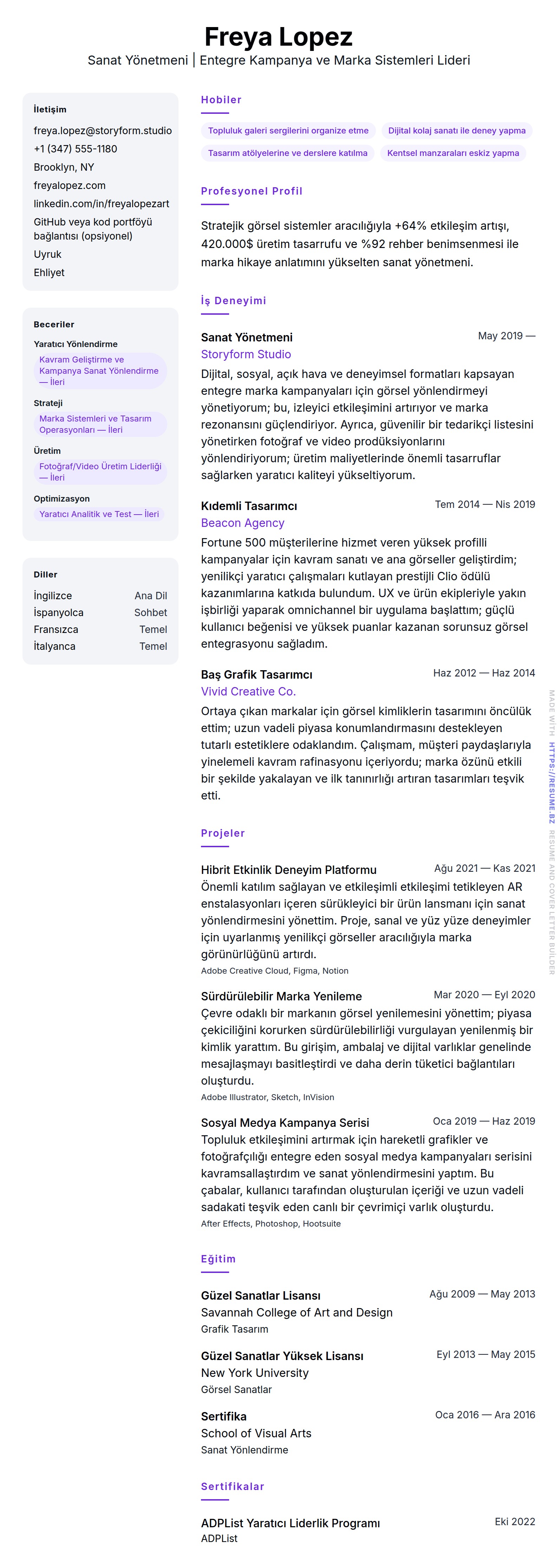 Sanat Yönetmeni Özgeçmiş Örneği için özgeçmiş önizlemesi