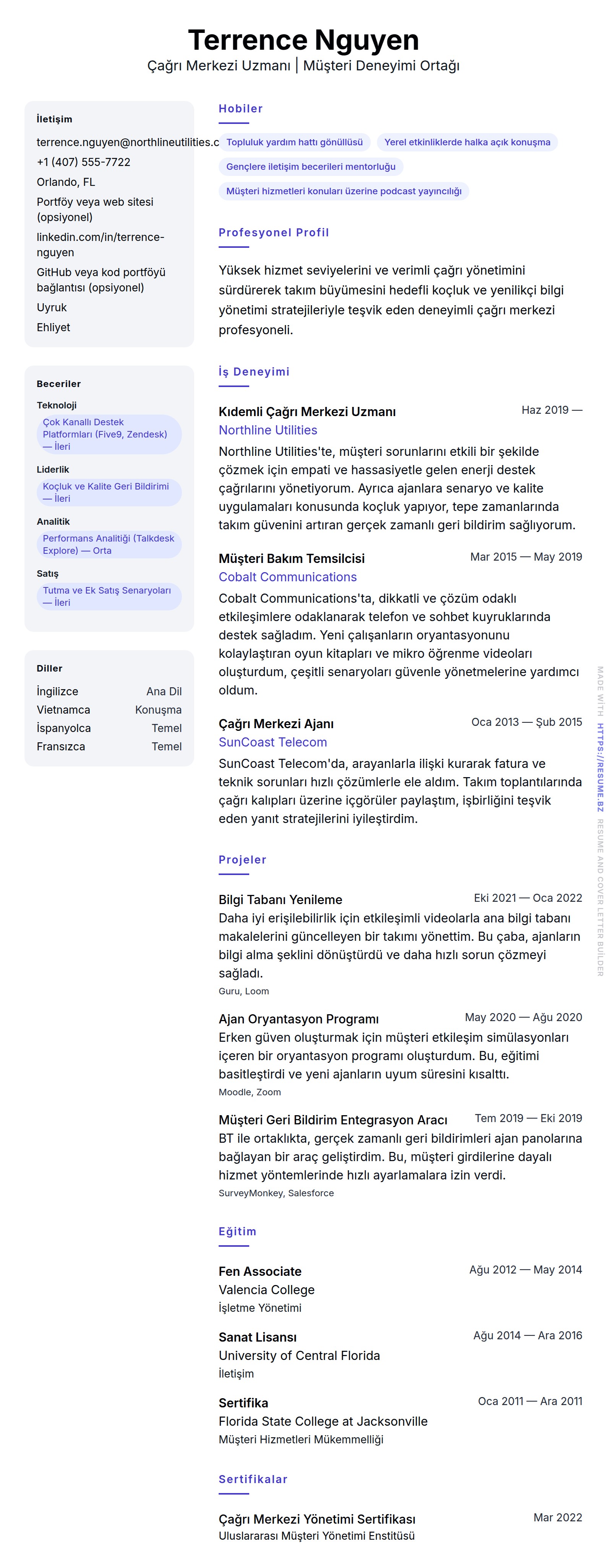 Çağrı Merkezi Profesyoneli Özgeçmiş Örneği için özgeçmiş önizlemesi
