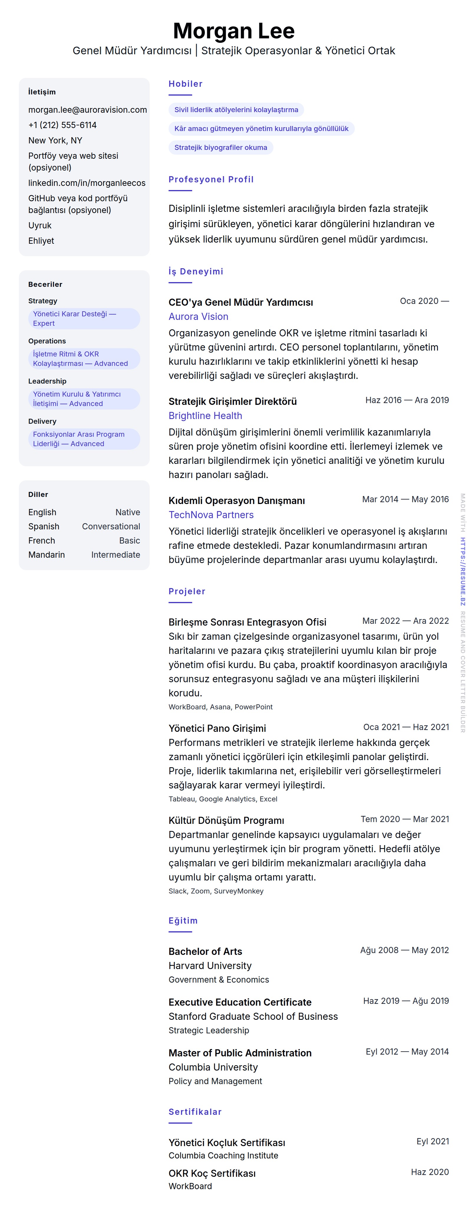 Genel Müdür Yardımcısı Özgeçmiş Örneği için özgeçmiş önizlemesi