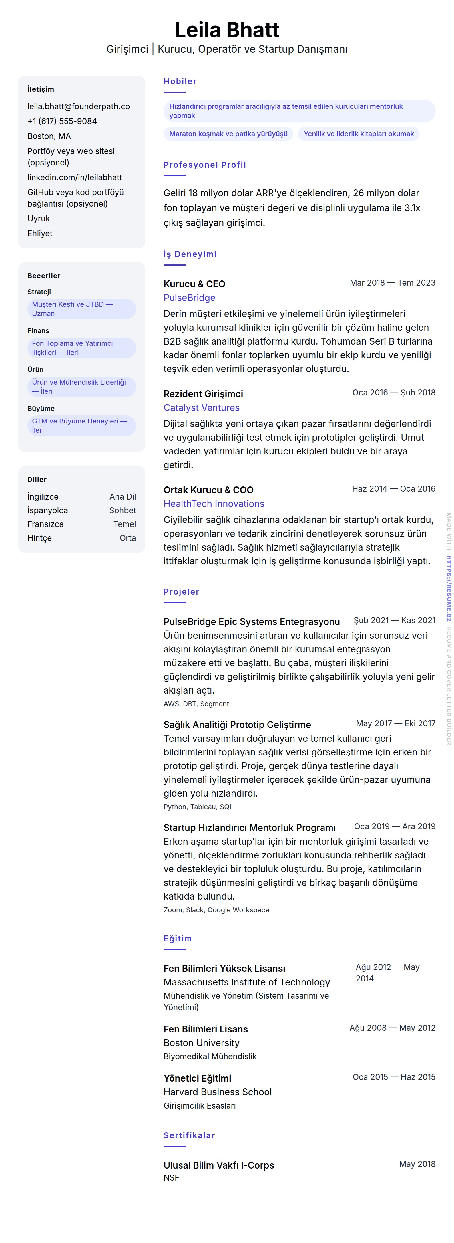 Girişimci Özgeçmiş Örneği için özgeçmiş önizlemesi