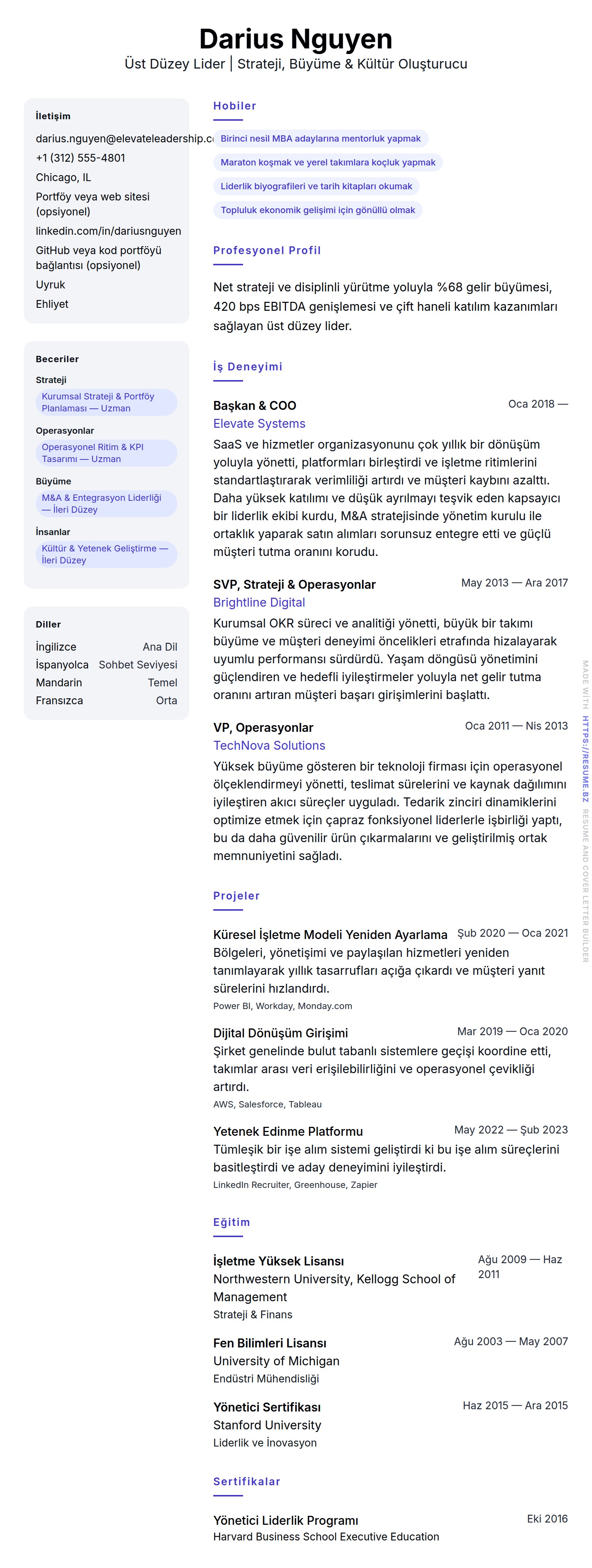 Üst Düzey Lider Özgeçmiş Örneği için özgeçmiş önizlemesi