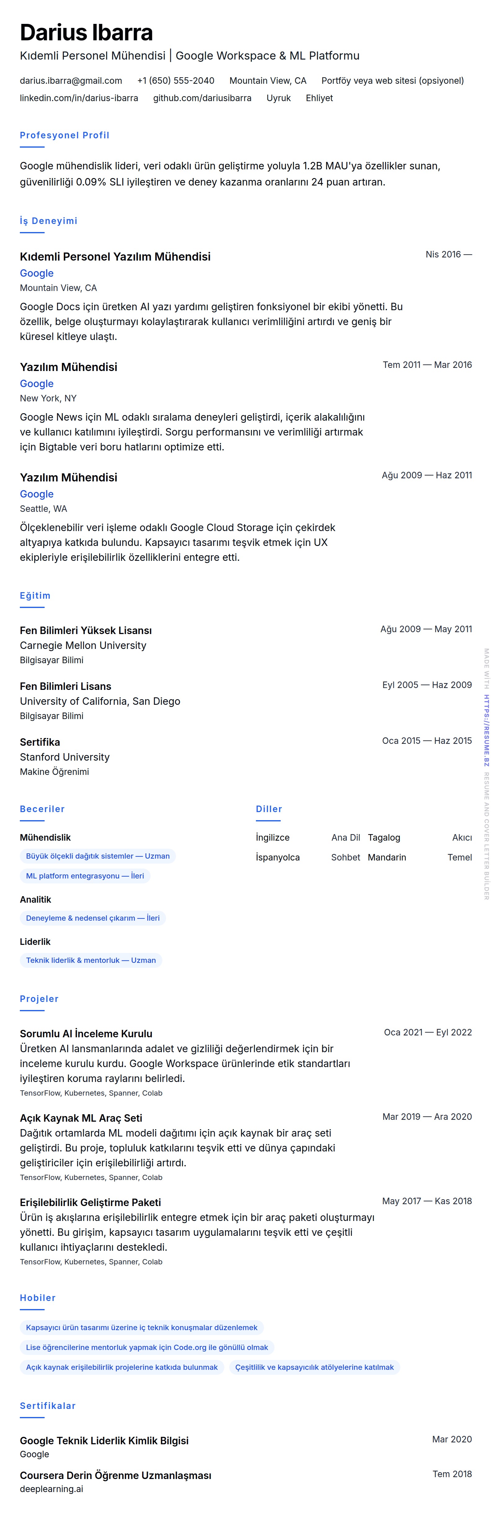 Google Özgeçmiş Örneği için özgeçmiş önizlemesi