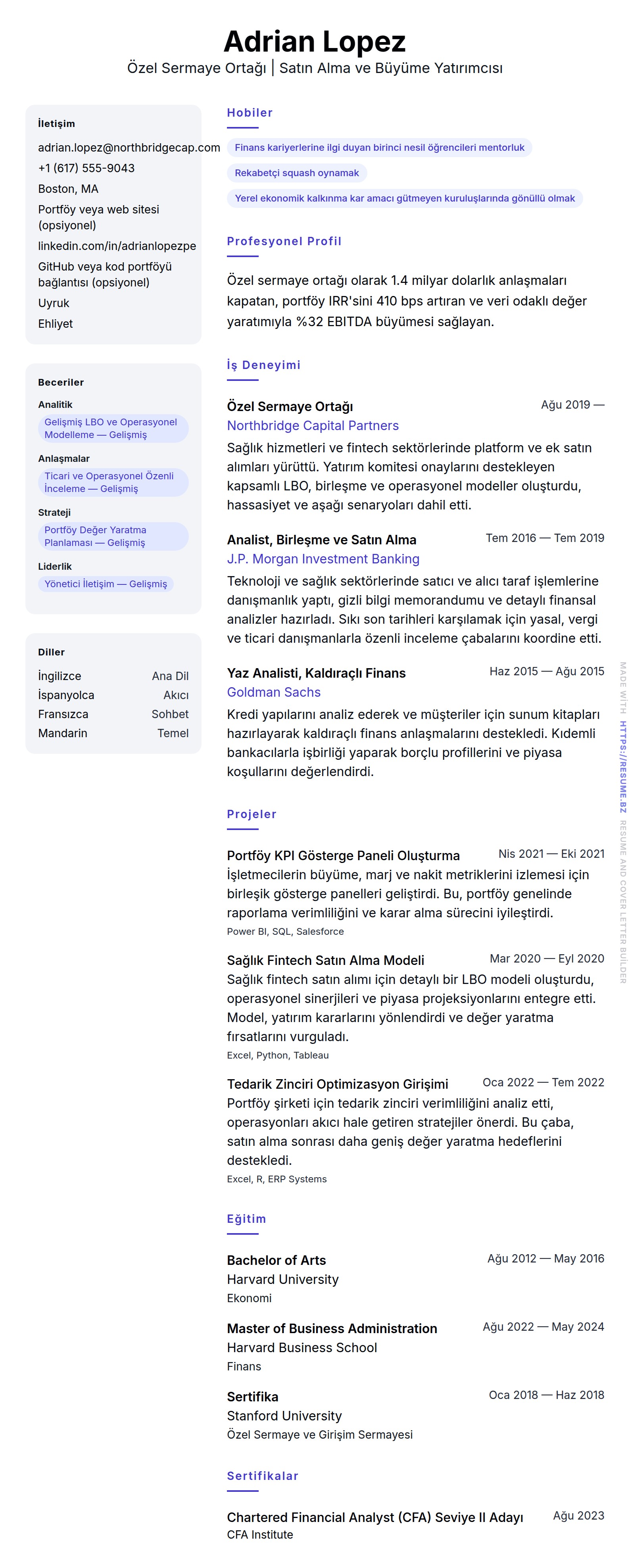 Özel Sermaye Ortağı Özgeçmiş Örneği için özgeçmiş önizlemesi