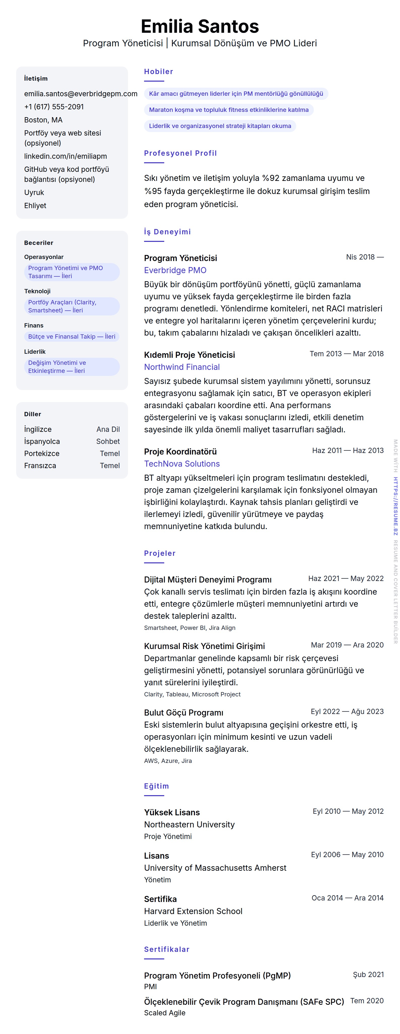 Program Yöneticisi Özgeçmiş Örneği için özgeçmiş önizlemesi