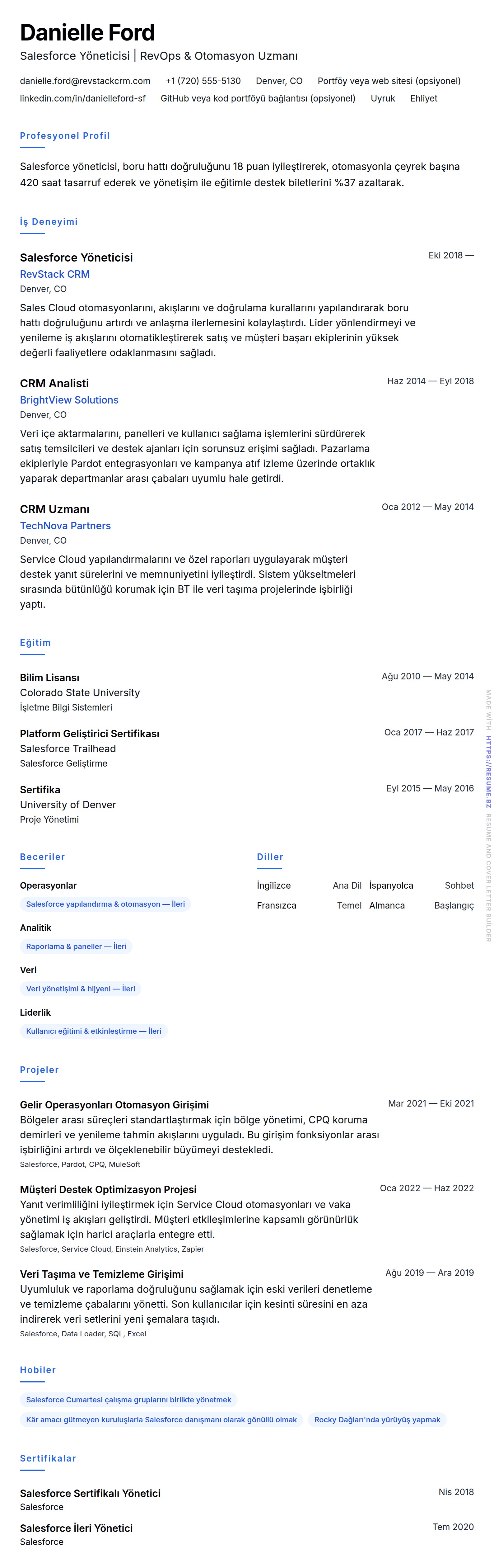 Salesforce Yöneticisi Özgeçmiş Örneği için özgeçmiş önizlemesi
