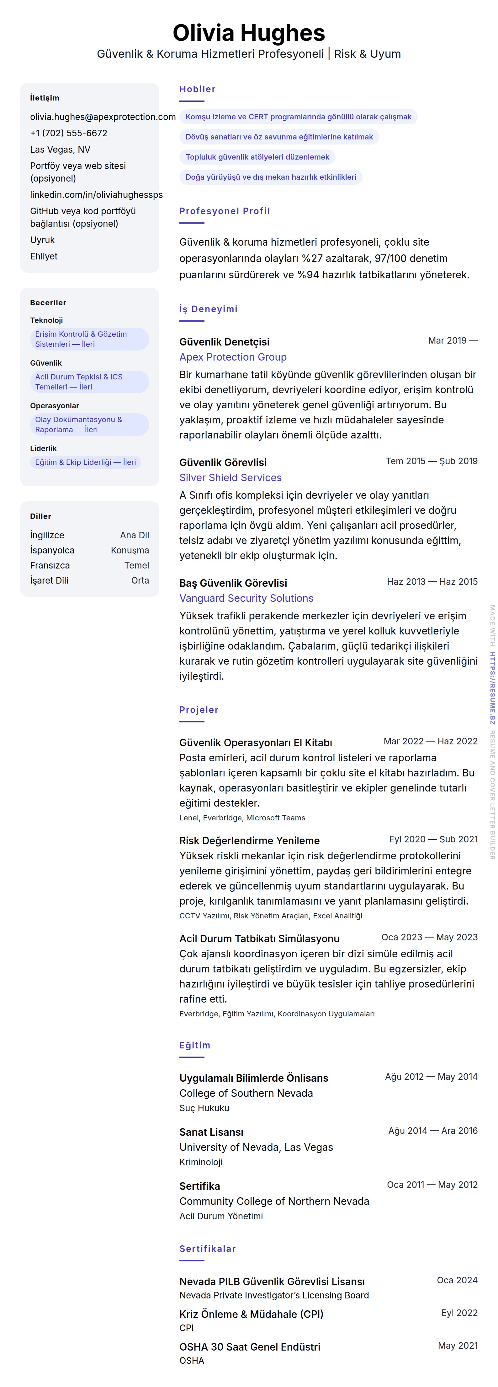 Güvenlik & Koruma Hizmetleri Profesyoneli Özgeçmiş Örneği için özgeçmiş önizlemesi