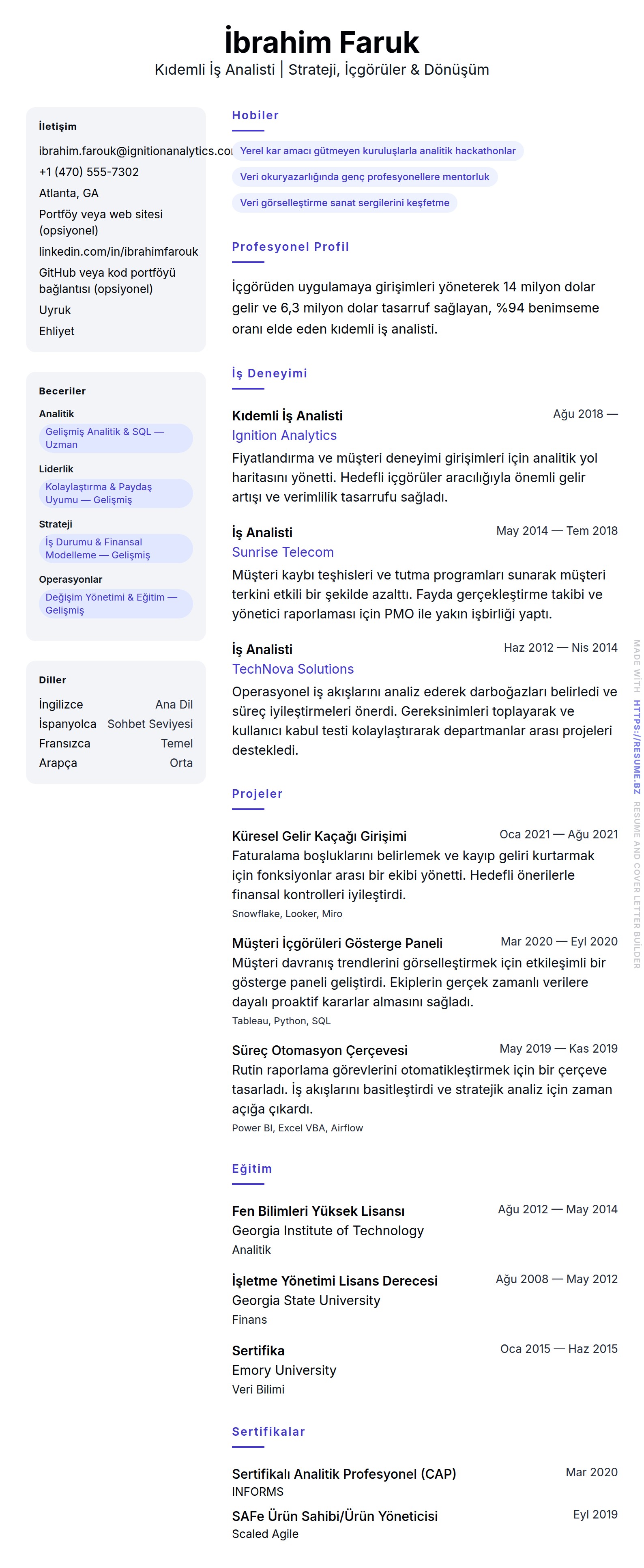 Kıdemli İş Analisti Özgeçmiş Örneği için özgeçmiş önizlemesi